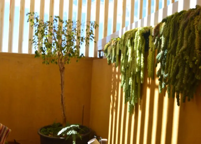 Rum i privatbostad Fano's House - En Vivienda Particular *