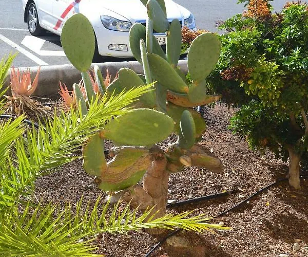 Fano's House - En Vivienda Particular בית אירוח