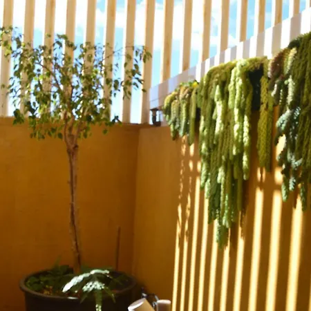בית אירוח Fano's House - En Vivienda Particular *