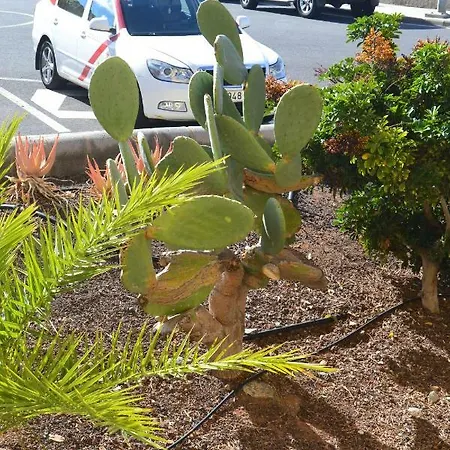 Fano's House - En Vivienda Particular منزل للإقامة